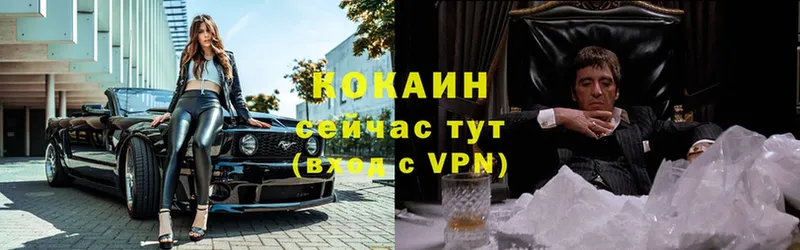 купить   Саранск  COCAIN Эквадор 