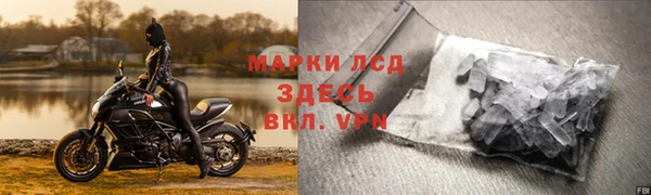 стаф Каменка