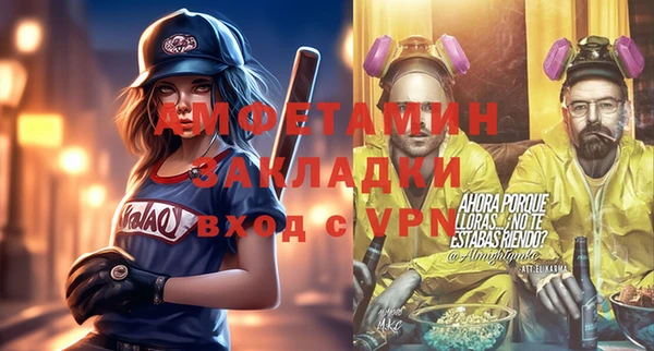 стаф Каменка