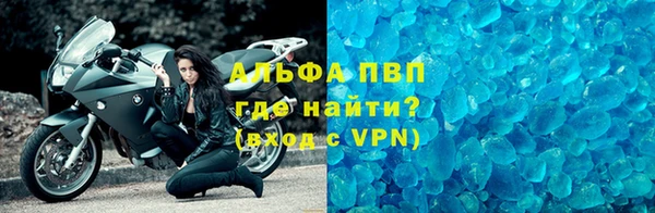 стаф Каменка