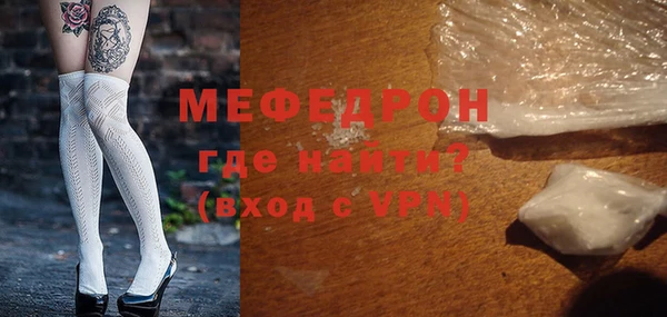 стаф Каменка
