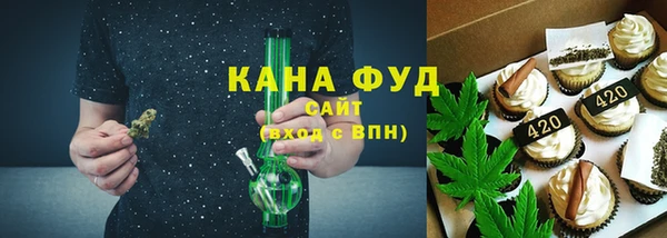 стаф Каменка