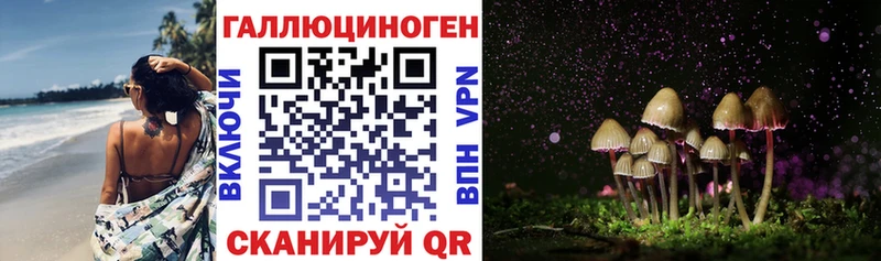продажа наркотиков  Саранск  Галлюциногенные грибы мухоморы 