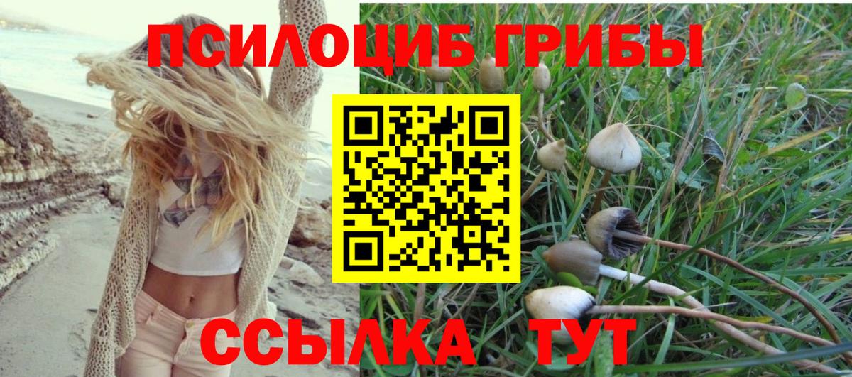 Галлюциногенные грибы GOLDEN TEACHER  Саранск 